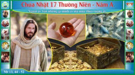 Suy Niệm Tin Mừng Chúa Nhật XVII Thường Niên A(Mt 13,44-52)