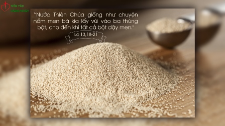 Mến Yêu Hằng Ngày, 26-10-2020