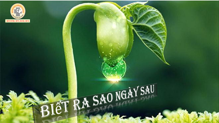 Biết Ra Sao Ngày Sau