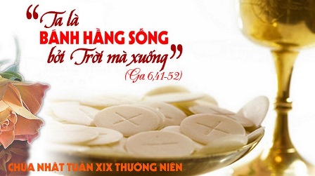 Suy Niệm Tin Mừng Chúa Nhật XIX Thường Niên - Năm B (Ga 6,41-51)