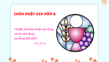 Suy Niệm Tin Mừng Chúa Nhật XIX  Năm B