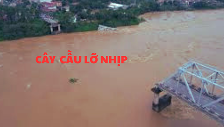 Cây Cầu Lỡ Nhịp