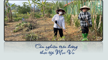 Cảm nghiệm trên đường thực tập Mục Vụ