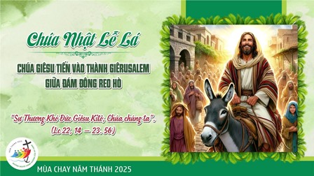Suy Niệm Tin Mừng Chúa Nhật Lễ Lá - Năm C (Lc 22,14 - 23,56)