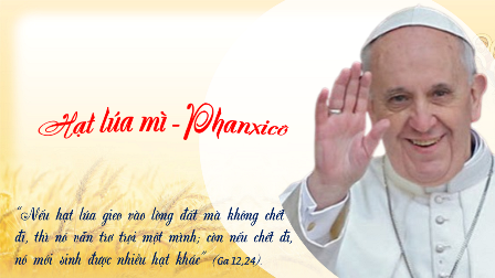 Hạt lúa mì - Phanxicô