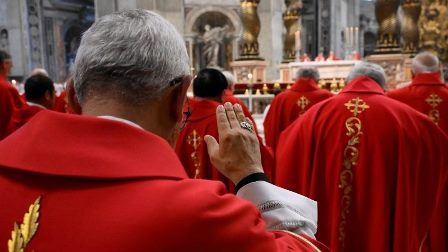 Các Hồng y xin các tín hữu cầu nguyện cho các ngài trong việc chọn Giáo hoàng