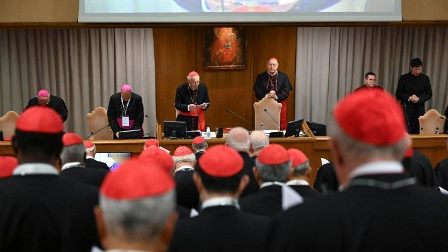 Phiên họp chung thứ 12: các Hồng y chú trọng vào các phẩm chất cần thiết của Giáo hoàng tương lai