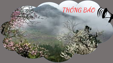 Thông Báo