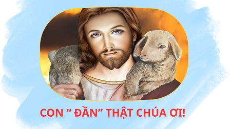 Con “ Đần” Thật Chúa Ơi!