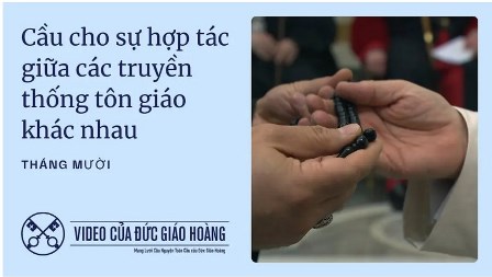 Ý Cầu Nguyện Của Đức Giáo Hoàng Tháng 10/2025: Cầu Nguyện Cho Sự Hợp Tác Giữa Các Truyền Thống Tôn Giáo Khác Nhau