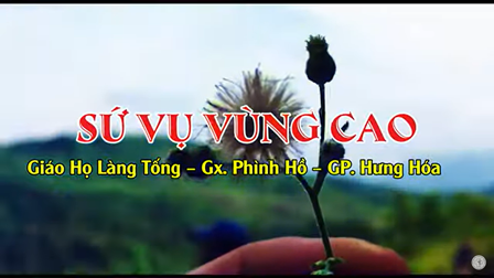 Sứ vụ Tác viên Tin Mừng tại Giáo họ Làng Tống, Gx Phình Hồ