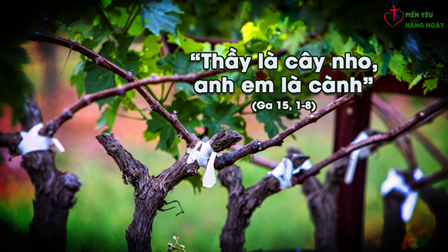 Mến Yêu Hằng Ngày – Chịu Cắt Tỉa