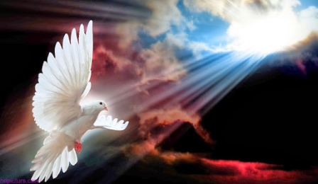 Chúa Thánh Thần Trong Cuộc Đời Người Trẻ