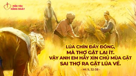 Mến Yêu Hằng Ngày