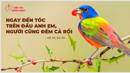 Mến Yêu Hằng Ngày, Ngày 11–07-2020