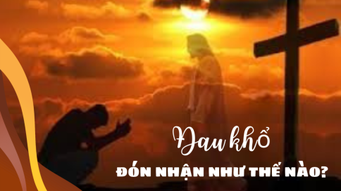 Thái Độ Đón Nhận Đau Khổ