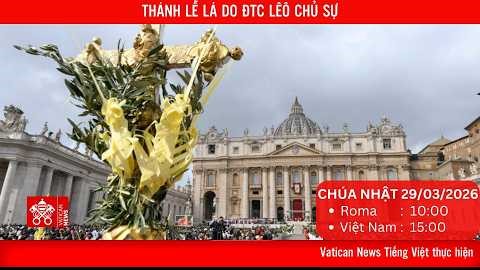 Thánh Lễ Lá: Chúa Giêsu Vua Hoà Bình - không ai có thể viện dẫn Chúa để biện minh cho chiến tranh