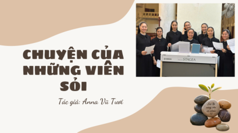 Chuyện Của Những Viên Sỏi
