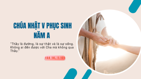Suy niệm Tin Mừng Chúa Nhật V Phục Sinh - Năm A (Ga 14,1-12)