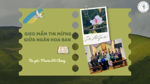 Gieo Mầm Tin Mừng Giữa Ngàn Hoa Ban