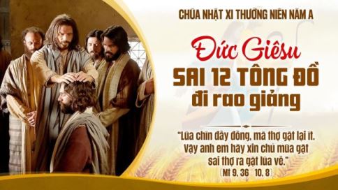 Suy niệm Tin Mừng Chúa Nhật XI Thường Niên – Năm A (Mt 9,36–10,8)