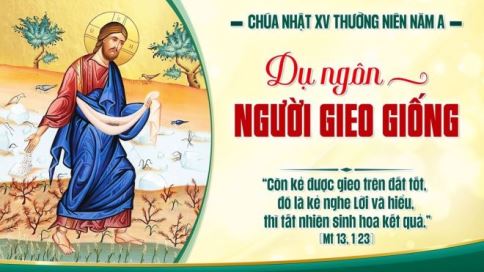 Suy Niệm Tin Mừng Chúa Nhật XV Thường Niên – Năm A (Mt 13,1-23)