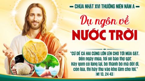 Suy Niệm Tin Mừng Chúa Nhật XVI Thường Niên - Năm A (Mt 13,24–43)