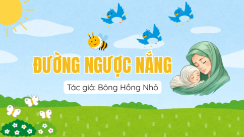 Đường Ngược Nắng