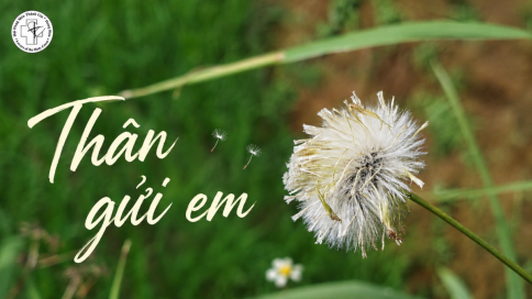 Thân gửi em